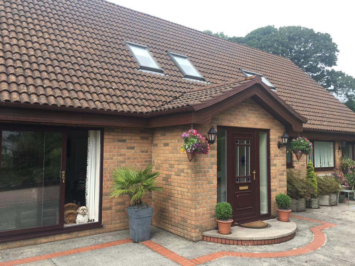 The Firs - Englefied Studio Bed and Breakfast Douglas Exterior foto